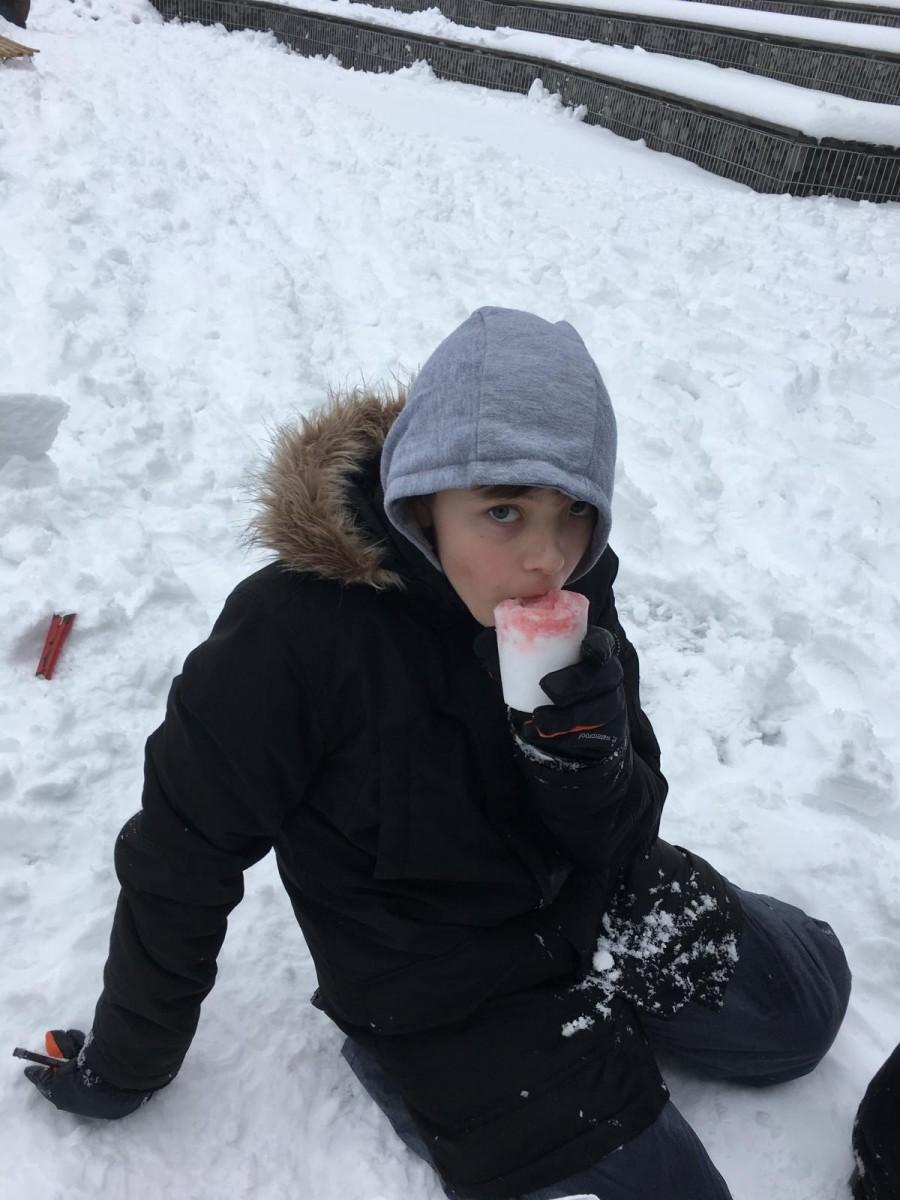 IMG 3108