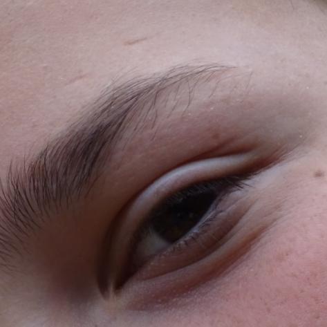 DSC00452