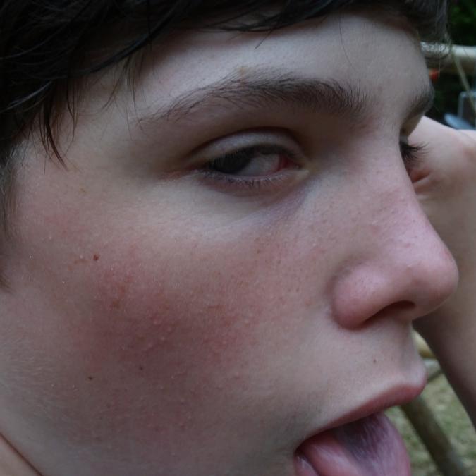 DSC00551