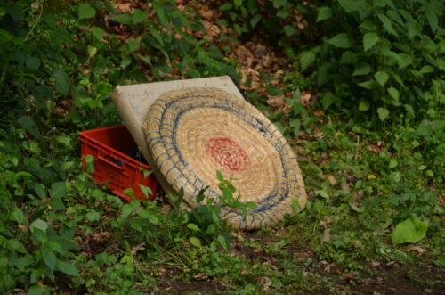 DSC 0150