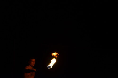 DSC 0123