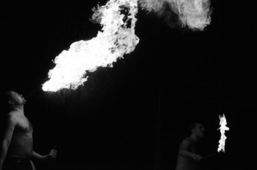 DSC 0138