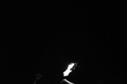 DSC 0153