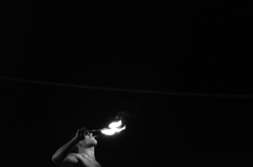 DSC 0155