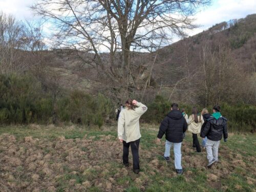 WhatsApp Image 2026-03-05 at 11.31.34 (2)